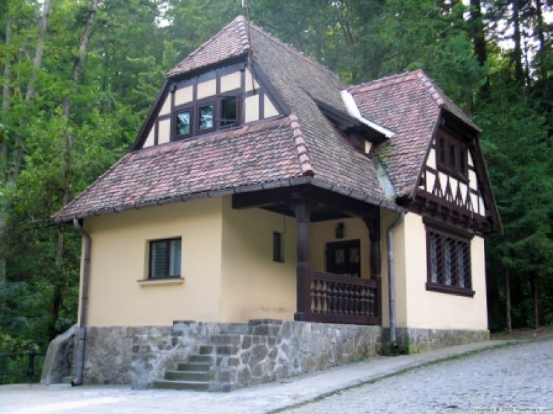 От дач до комфорта: История посёлка Ольгино, превратившегося